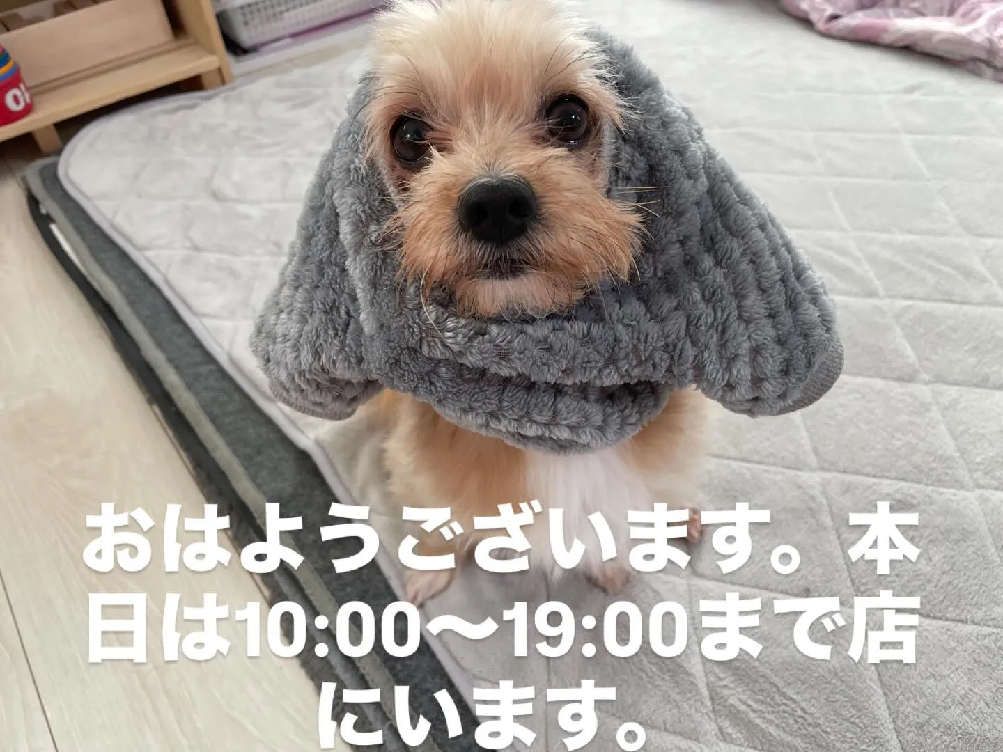 今日も寒いですが、頑張って行きましょう。